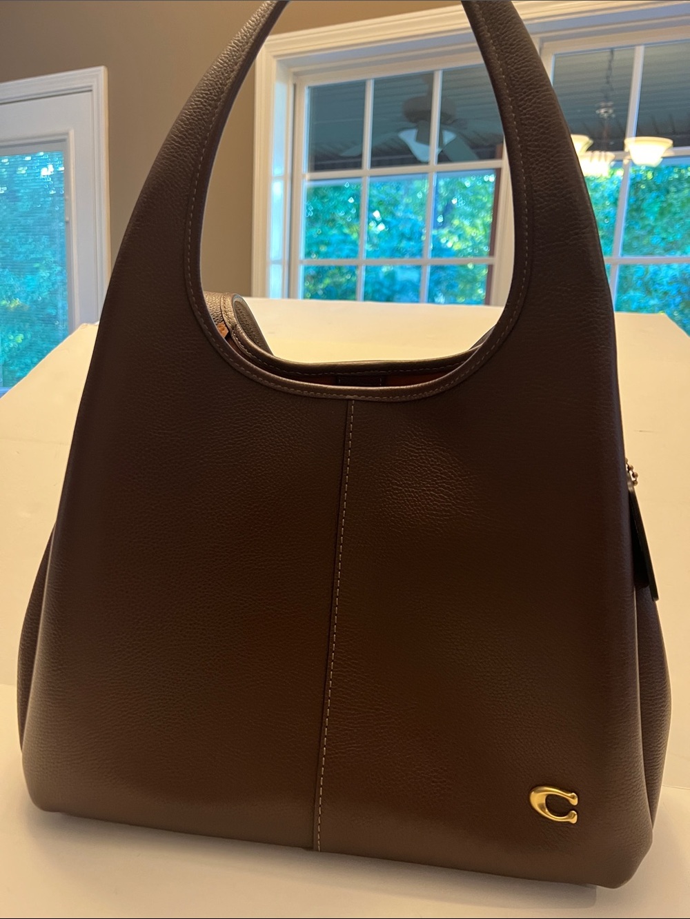 Coach Dark Brown Women’s Leather Hobo Bag